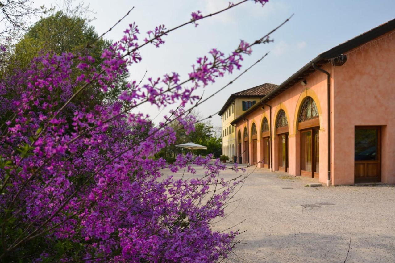 Agriturismo Rechsteiner Ponte di Piave Exteriér fotografie
