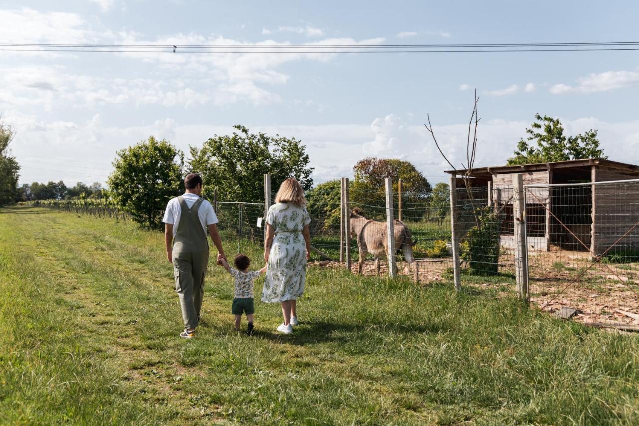 Agriturismo Rechsteiner Ponte di Piave Exteriér fotografie
